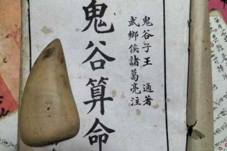 探寻上辈子做官的八字命运,揭开前世轮回的神秘面纱