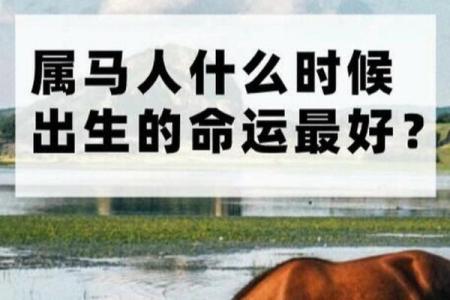 探秘属马人的命运:39岁这一年是转折点吗?