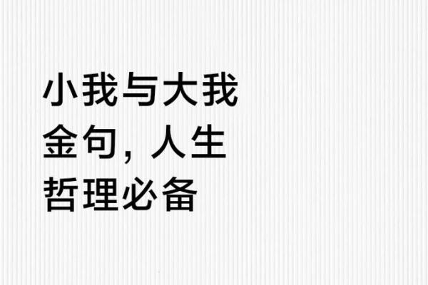 探寻“似命确是命”的深刻含义与人生哲学