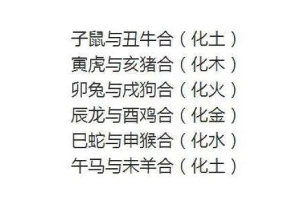 探秘属狗与属猴：火命与智慧的奇妙碰撞