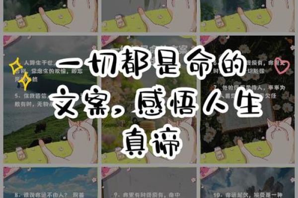 探寻“贵命”的真谛：人生价值与命运的交织之旅