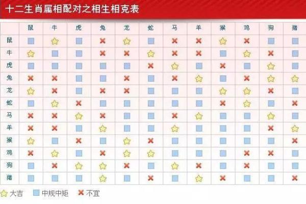 水蛇命与哪些命相克，揭开命理之谜！
