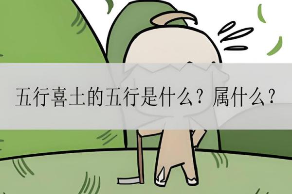 土命人生：适合土命孩子的五大特质与优势