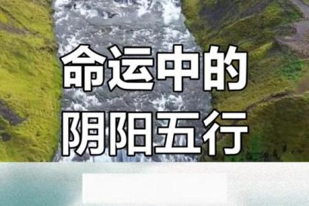 五行中水的过旺与人生命运的深刻影响