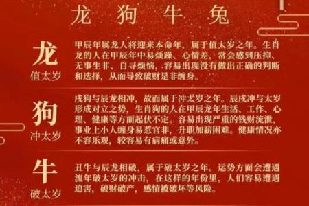 为命请命:揭示中国生肖背后的文化和意义