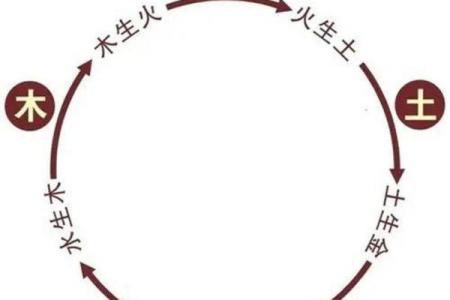 土命之人如何起名：五行相生的智慧与艺术