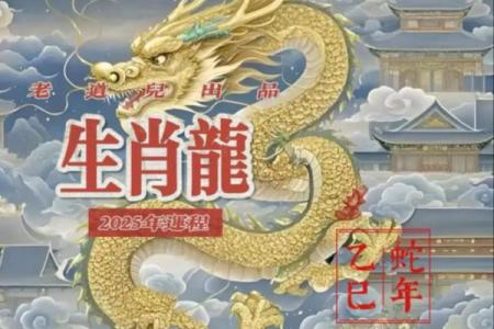 探秘龙命：最不利于婚姻的生肖影响解析