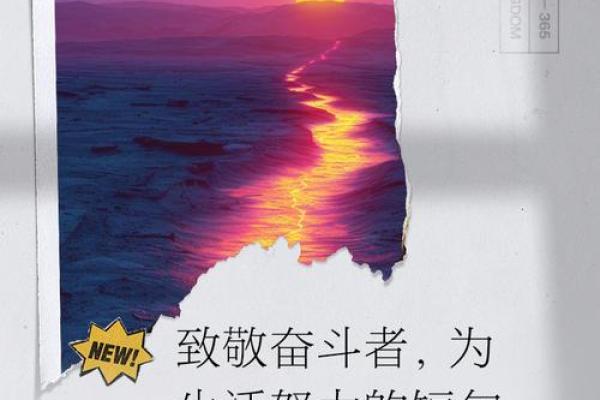 为生活拼了命的奋斗者们——那些不起眼却闪耀的平凡人