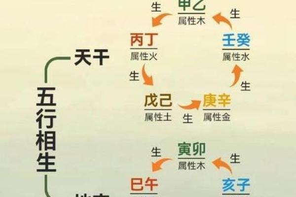 土命忌什么命：解密命理中的忌娘和相生相克