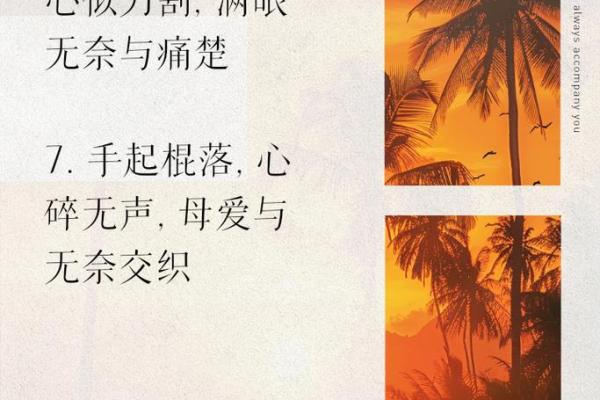 只有母亲了，这样的命运让人生无奈与温暖交织