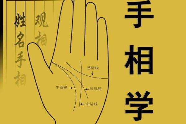 探寻命运的线索：如何通过手纹解析人生的轨迹