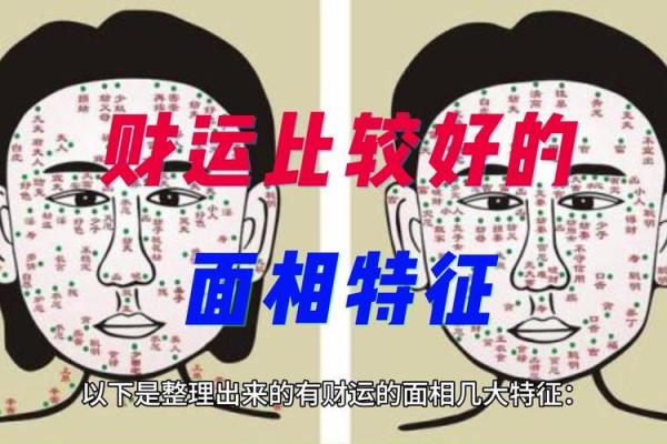 探讨面相与财运：如何通过面相解读贪财男命的优劣