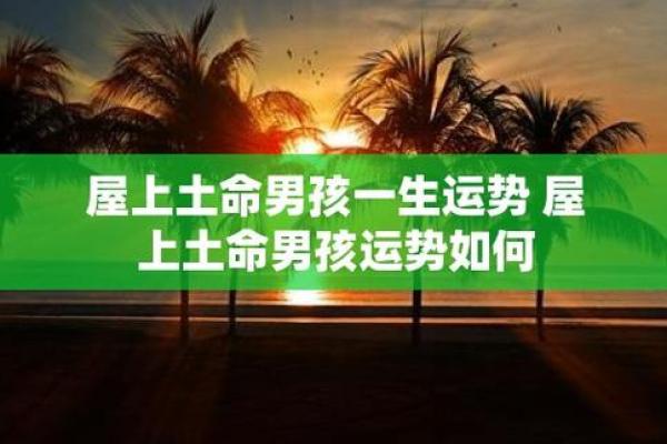 屋上土命：探寻与之相合的命理之道