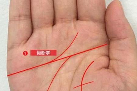 探寻命运的线索:如何通过手纹解析人生的轨迹