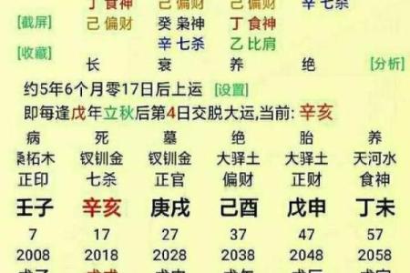 阳历8月4日出生的人命理解析:深度剖析你的命运之路