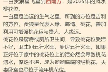 阴女火六局生肖兔的命运解析与生活智慧