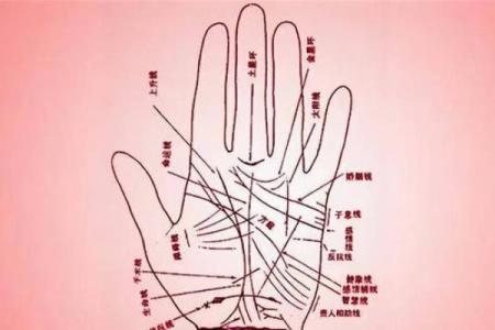 掌纹中的A字命理解析:你具备哪些独特的命运特征?