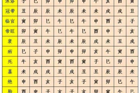 阳历17号出生者的命理解析:探索你的生命轨迹与性格特征