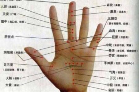 无名指高于食指，独特女人命运解析
