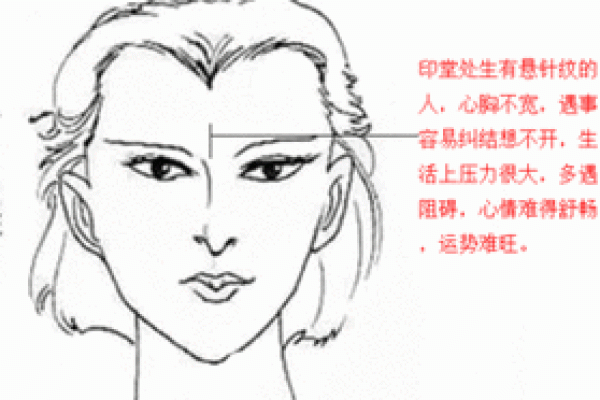 算命中的芙蓉命：揭开命运之花的神秘面纱