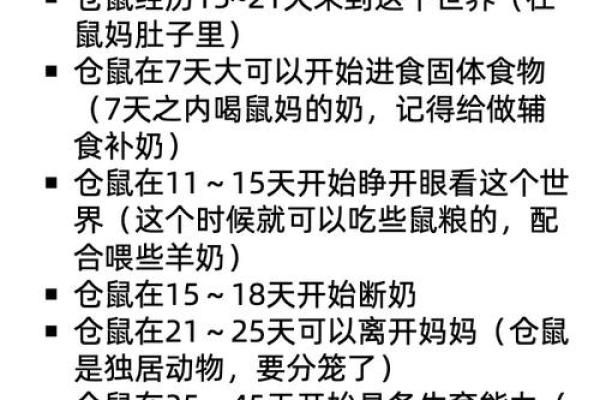 谈谈鼠年宝宝的命运与性格特点