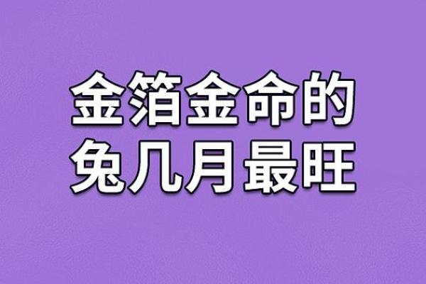 兔年命人的特点与人生哲学探讨