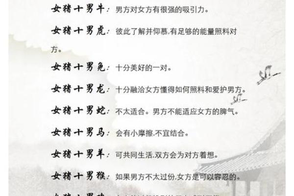 属猪十月出生的人生命运与性格解析