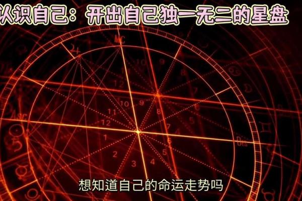 一打几十的命运解析：从数字看人生的奥秘与机遇