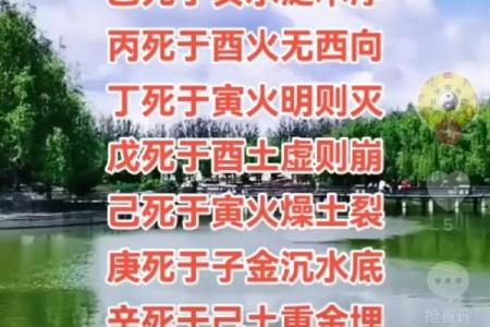 仙命甲午年:适宜葬于何山何向的深思探讨