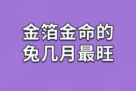 兔年命人的特点与人生哲学探讨