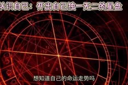 一打几十的命运解析:从数字看人生的奥秘与机遇