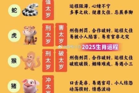 五十二岁属猪的命运解读:揭示人生的幸福与机遇
