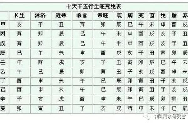 探秘五行之癸巳命：揭示命理背后的神秘力量与人生启示