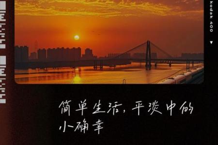 探寻生活的诗意:在平淡中发现美好