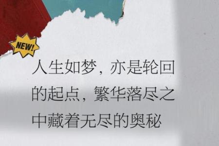 为什么土命的人这么多?探寻命理的奥秘与人生的选择