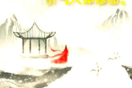 为什么命的单位是条命?探秘生命的深刻意义与文化内涵