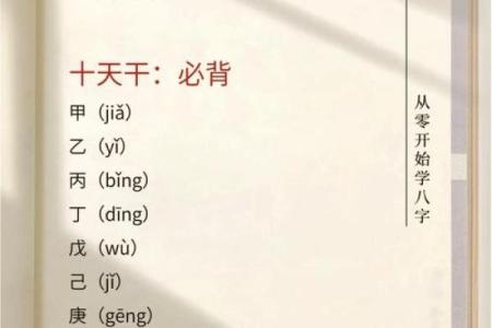 探秘五行命理:如何轻松查出你属于哪个命!