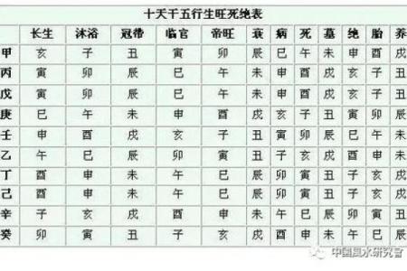 探秘五行之癸巳命:揭示命理背后的神秘力量与人生启示