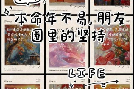 探讨一命六命:命运与机遇的精彩交织