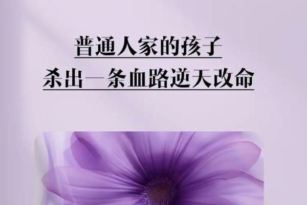 探寻生命的智慧：正命、随命与遭命的真谛