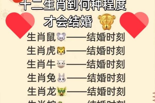 兔火命与相合命的婚姻幸福指南