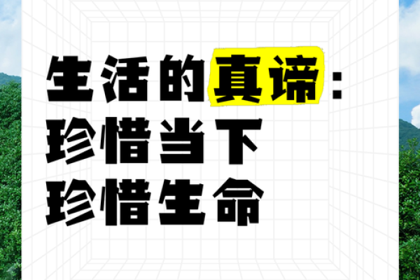 拥抱生命，珍惜当下：从“争什么争人的命”看人生的意义