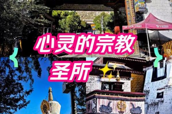 探索“真命小和尚”：寻找灵性与内心平静的旅程