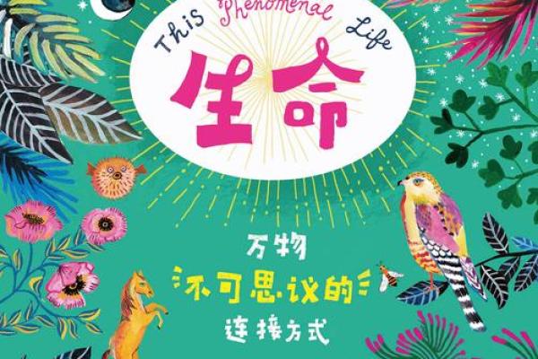 水命与火命的孩子：性格与命运的奇妙结合