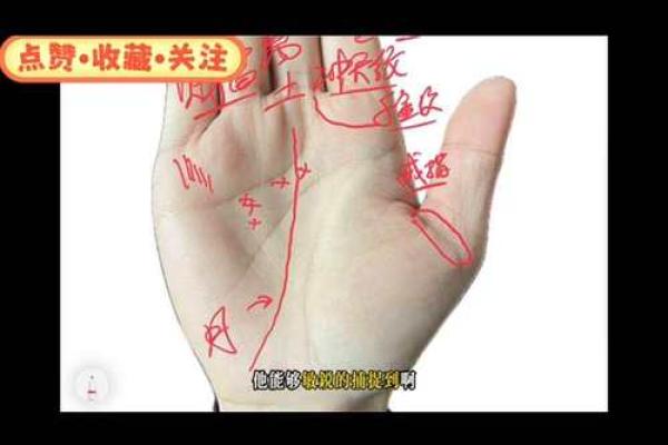 掌纹揭秘：如何通过手相来识别易发财的命运？