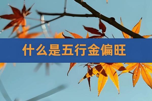 探寻五行金命之商机：适合的生意与发展方向