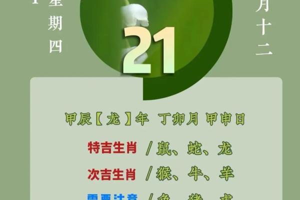 五行与绿色命运：从色彩看生命的平衡之道
