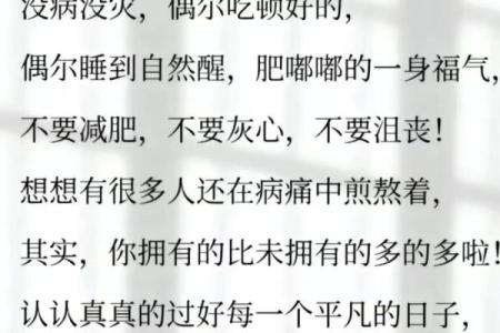 拥抱生命,珍惜当下:从“争什么争人的命”看人生的意义