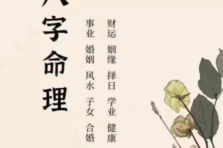 通过生辰八字探寻命运的奥秘,揭开生活的真谛!