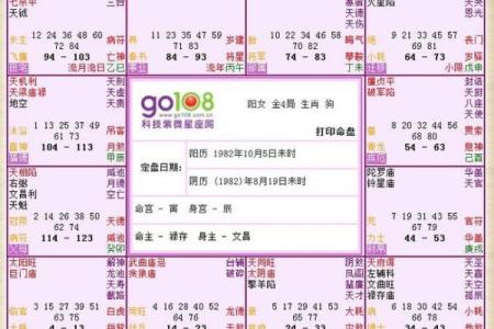 探索沙中金命：命格与命名的深刻关系